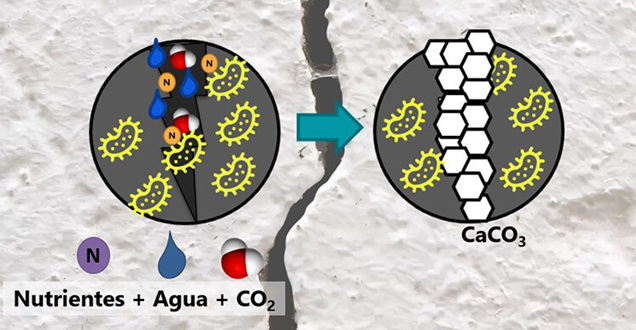 self healing concrete