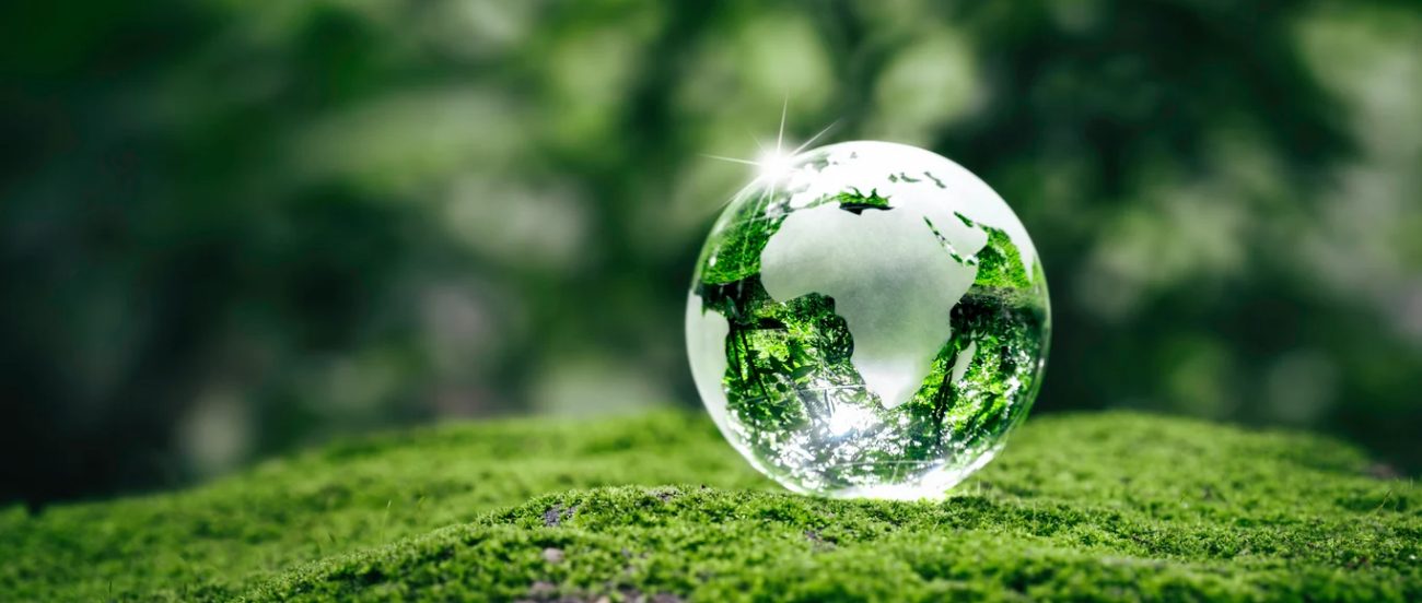 embracing a sustainable future