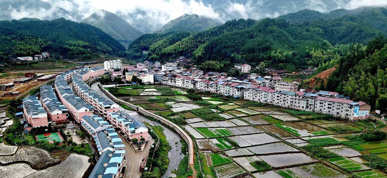 project of the Rural Revitalisation Strategy